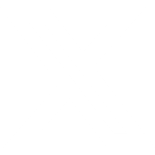 X social icon